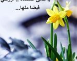 صور جميله ومعبره , اروع واجمل الصور المعبره