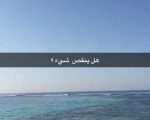 كلام سناب , تعرف على برنامج سناب شات