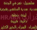 معاني اسماء البنات , محتاره لسه ف معني اسم بنتك تعالي و انا اقولك اجدد الاسامي , 