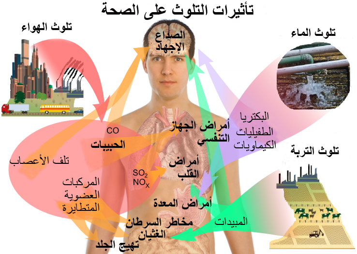 مكونات الهواء - توضيح تكوين الهواء 5655 1