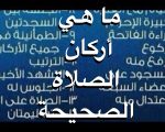 ما هي اركان الصلاة - اركان الصلاة وواجباتها وسننها