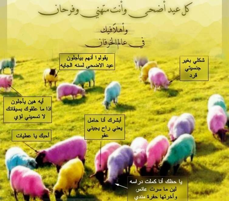 صور عن عيد الضحى - رمزيات عن العيد الكبير 71 6