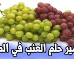 تفسير حلم اكل العنب الاحمر الحلو , رؤيه اكل العنب في المنام وتفسيره