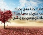 رسائل بحبك , مسجات كلمة بحبك