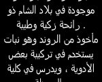 ما معنى اسم ريناد , تعرف الان على معنى اسم ريناد في صور تعتبر من افضل الصور و هذا في عام 2024 ميلاديا