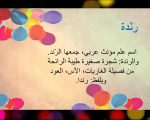 معنى اسم رند , اسم جميل وغايه فى الروعه