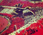 صور عن الاهلي , صور عن فريق الاهلي من الفرق الرياضيه المصريه