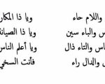 شعر هجاء , انواع الشعر المختلفة