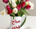 صباح الخير وكل الخير , كلمات للصباح