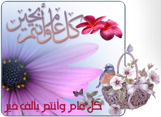 صور مولد النبي - اعظم خلق الله 3948 4