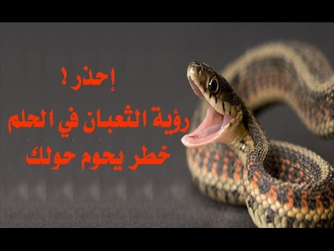 رؤية الحية في المنام - تفسير من راي الحيه في المنام 6487 2