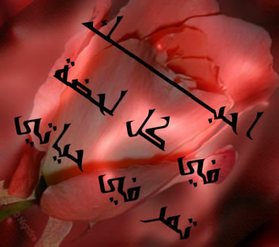 كلمة بحبك - روعة وجمال الحب 3862 3