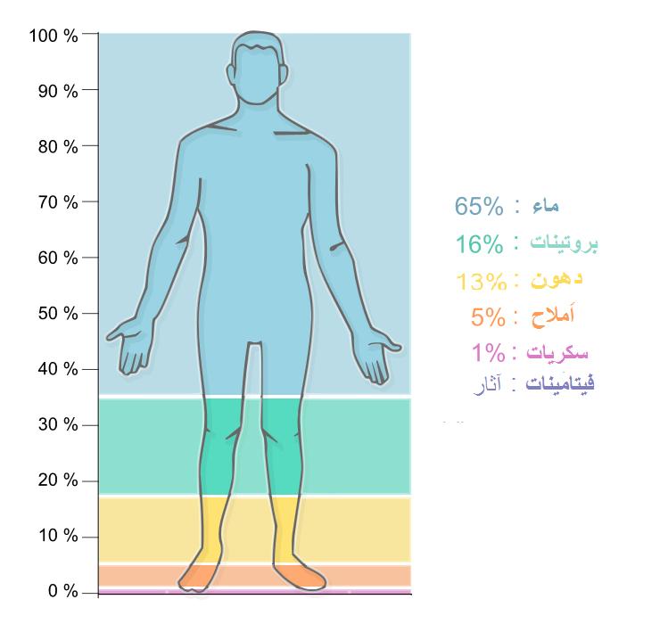 مكونات الهواء - توضيح تكوين الهواء 5655 2