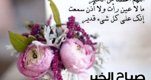 3248 11 اجمل صباح الخير - كلمات للصباح دينا حليم