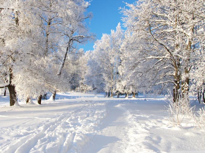 صور فصل الشتاء , اروع مناظر لفصل الشتاء عبارات