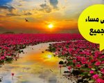 مساء الخير للجميع - اجمل مساء للغالين