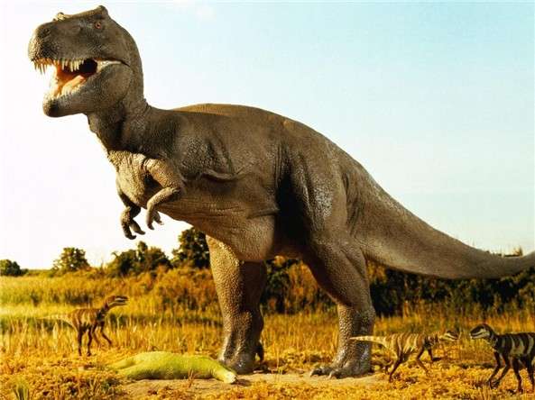 معلومات عن الديناصورات , كل ما تريد معرفته عن الديناصورات