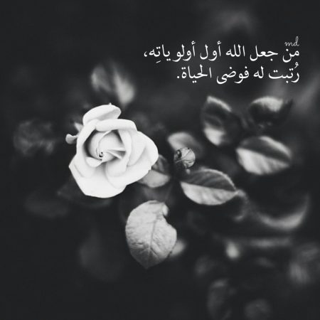 صور للانستجرام - اجدد و اشيك و احلي صور للانستجرام 4972 2