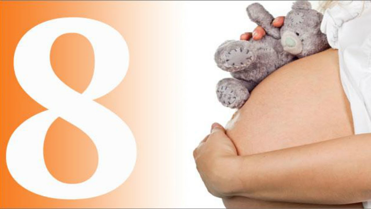 5466 1 الشهر الثامن من الحمل - اعراض الشهر الثامن فى الحمل حاتم تميم