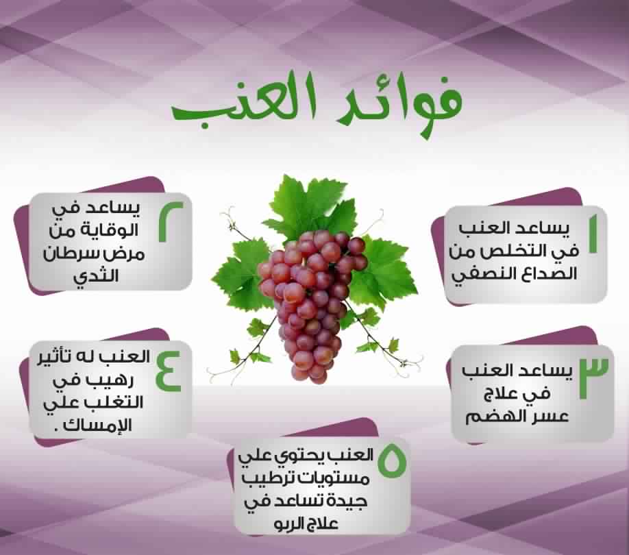 كتلة كلب نافورة  فوائد العنب , مميزات فاكهة العنب - عبارات
