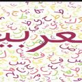 3638 3 معلومات عن اللغه العربيه - تفاصيل دقيقة عن اللغة العربية دينا حليم
