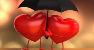 3696 11 صور قلوب حب - رمزيات قلوب رومانسية دينا حليم