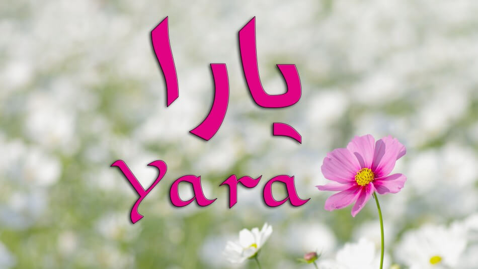 معنى اسم يارا , صور ومعنى وصفات من تحمل اسم يارا
