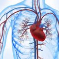 3111 3 علاج مرض القلب - تاثير مرضه القلب علي الانسان U2