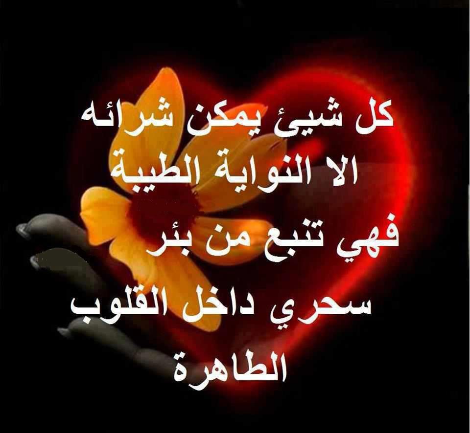 صور امثال وحكم - روعة الحكم والمثل وجمالهم 13141 5