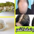 1559 2 علاج سقوط الشعر- اسباب واعراض وعلاج الشعر المتساقط ام هاجر