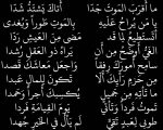 قصائد شعرية , كلكشن من اجمل باقات الاشعار العربيه
