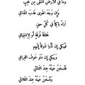 2611 10 شعر غزل جاهلي - خواطر مكتوبه من شعراء العرب عهد الدين