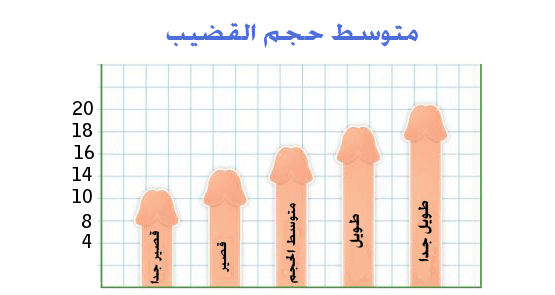 ما هو طول المناسب للعضو الذكري تعرف على الحجم المثالي لقضيب الرجل عبارات